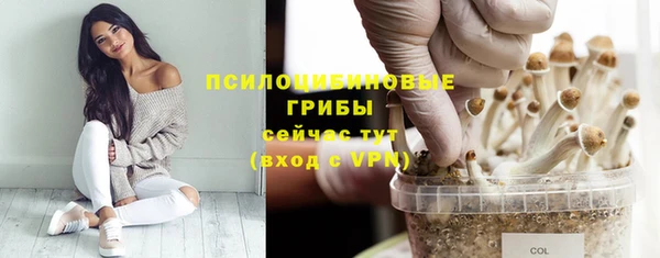 гидропоника Каменск-Шахтинский