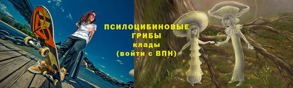 кокаин Каменка