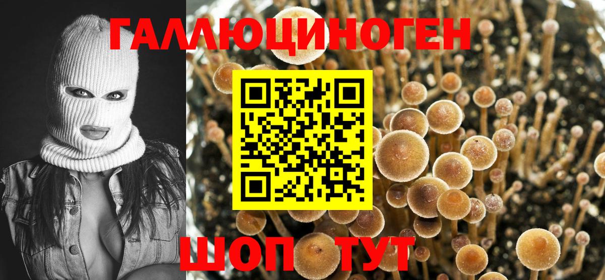 продажа наркотиков  Псилоцибиновые грибы Psilocybine cubensis  Вход с VPN  Благовещенск 