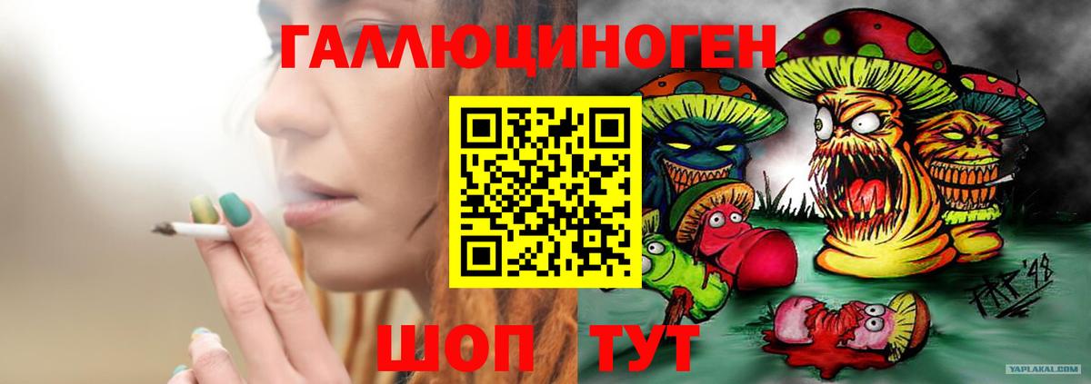 Псилоцибиновые грибы мухоморы Благовещенск